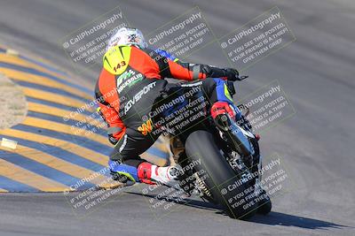 media/Nov-12-2023-SoCal Trackdays (Sun) [[5d1fba4e7d]]/Turn 10 Backside (115pm)/